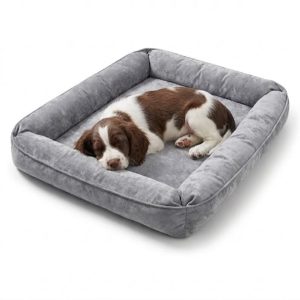 PAWsitive Pet Beds