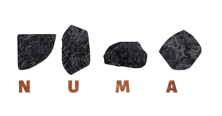 numa logo